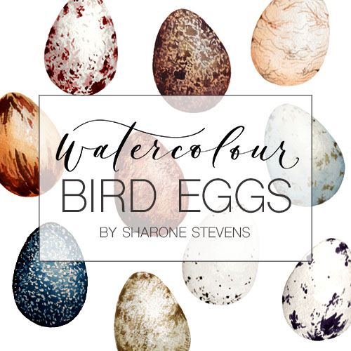 How to Paint Bird Eggs in Watercolour - Sharone Stevens Design
